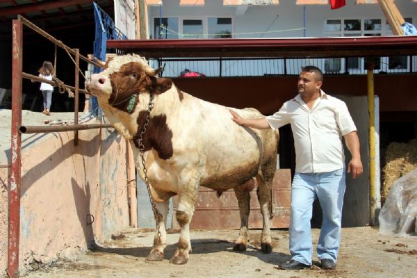 Fiyatı dudak uçuklattı:37 bin TL
