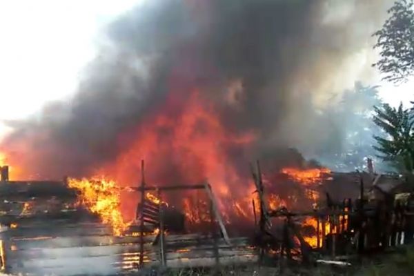 Anız yangını binlerce arı kovanlarını kül etti