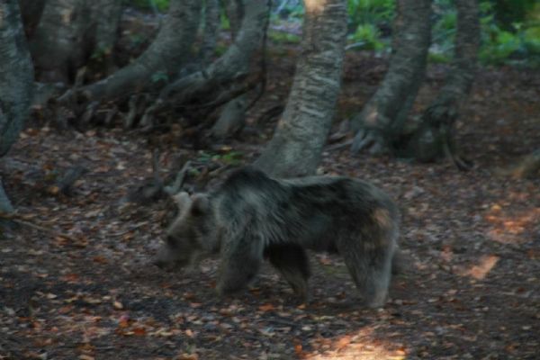 Uludağ'a çıkacak dağcılara uyarı