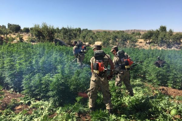 Diyarbakır'da uyuşturucu tacirlerine operasyonu