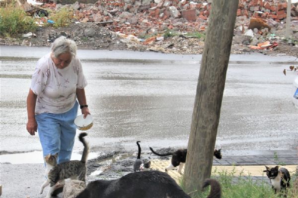62 yaşındaki kadının hayvan sevgisi