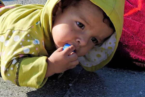 İzmir'de 60 göçmen yakalandı