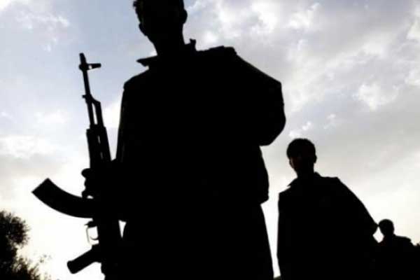 Diyarbakır'da El-Nusra'ya operasyon