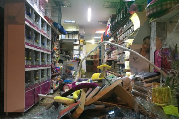 İstanbul'da minibüs petshop'a daldı