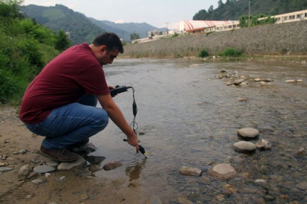 Giresun'da Batlama Deresi'nde toplu balık ölümleri