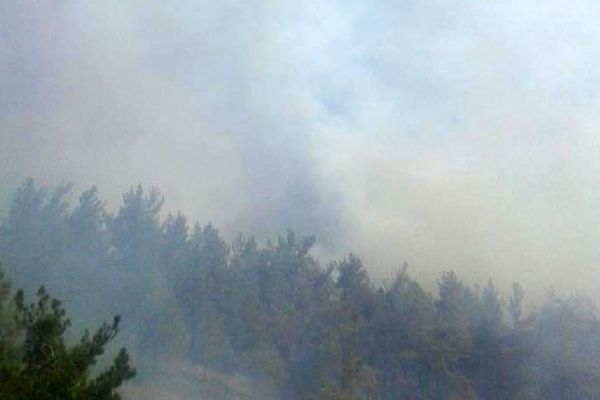 Balıkesir'de orman yangını