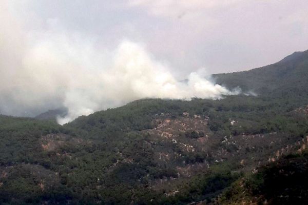 Balıkesir'de köylüler orman kundakçısını yakaladı