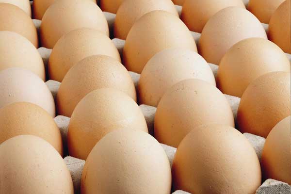 Hollanda'dan yumurta açıklaması