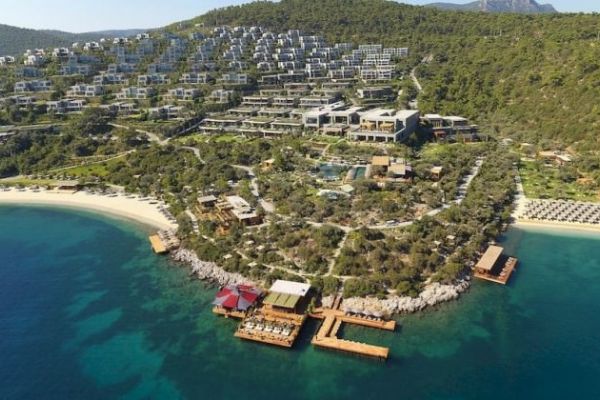 Lüks siteyi domuzlar bastı!