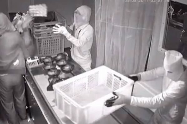 İstanbul'da altınları ekmek kasalarına doldurdular!