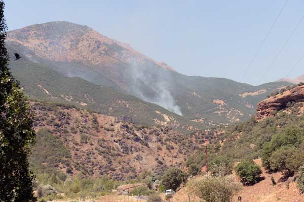 Tunceli'de yangın mı var?