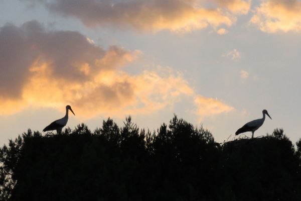 Konya'da Leylekler Vadisi'nde gün batımı