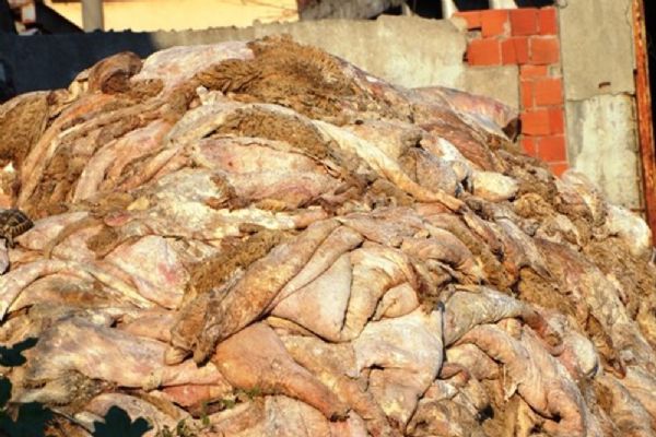 Palandöken: Her yıl yaklaşık 20 milyon değerinde deri çöp oluyor