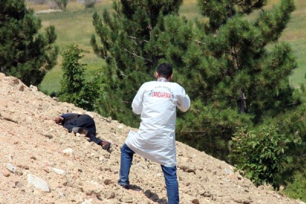 Konya'da pikniğe giden aile vahşetle karşılaştı