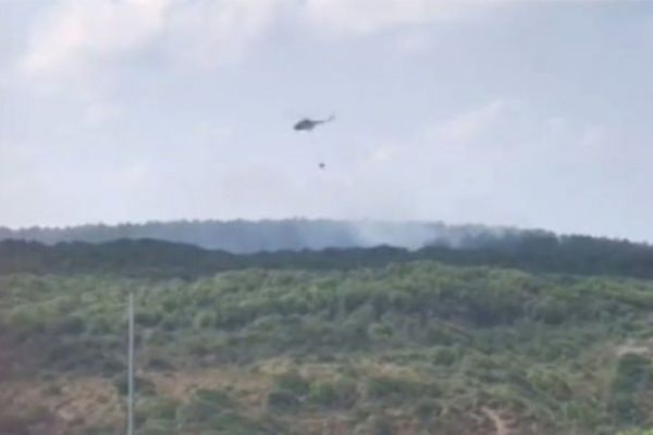 Rumeli Feneri'nde ormanlık alanda yangın