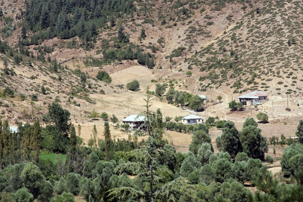 Adana’da bulunan başsız ceset korkuttu