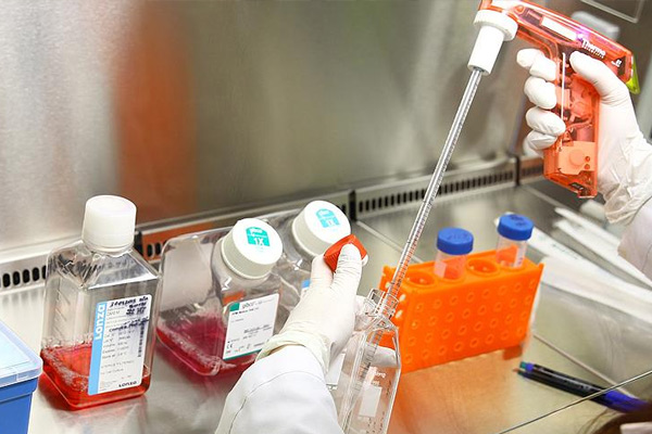 'Türk Genom Projesi, çığır açacak'