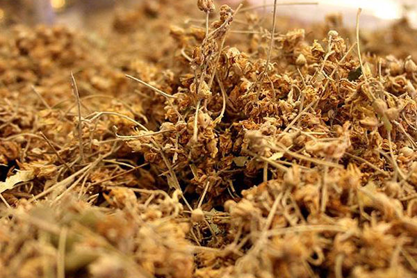 Fiyatlar ıhlamuru raftan düşürdü