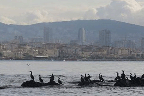 İstanbul'da kayıp ada gün yüzüne çıkıyor