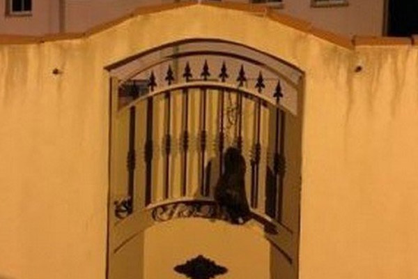 Fransa'da camiye iğrenç saldırı