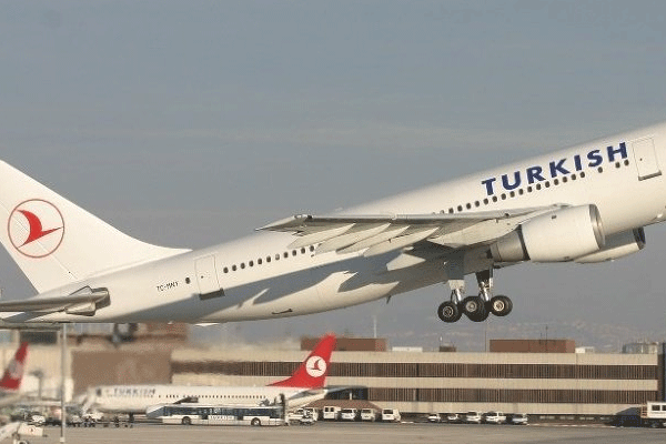 THY uçağında fare panik yarattı