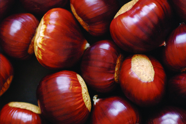 Kestanenin fiyatı cep yakacak