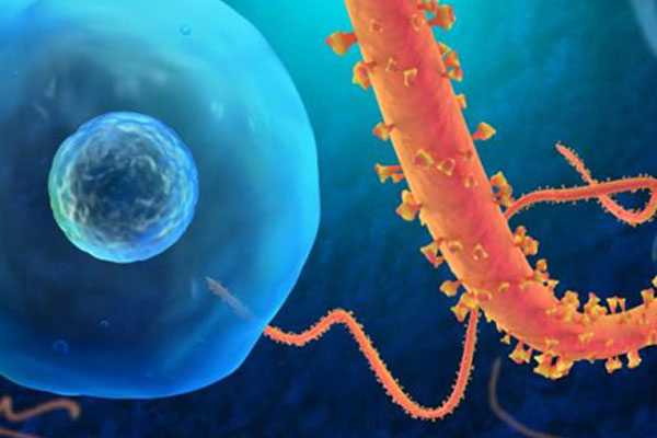 Irak'ta kolera salgını artıyor