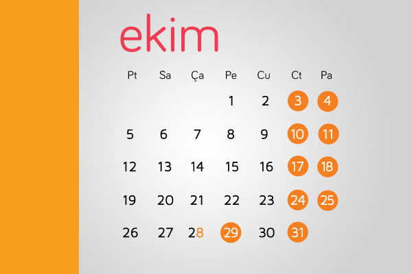 29 Ekim için tatil kararı açıklandı