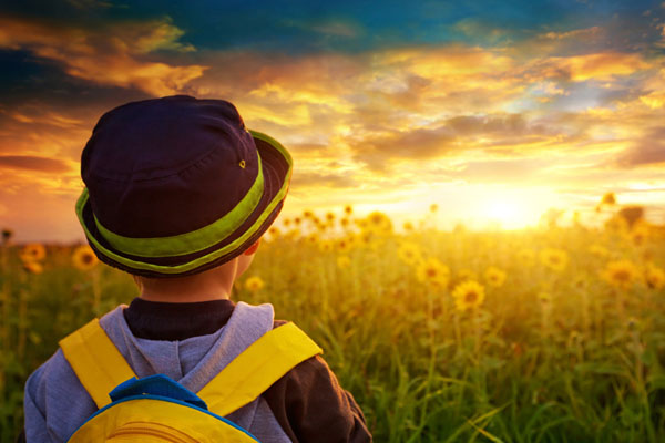 Diplomalı işsizlere 2 bin lira maaş