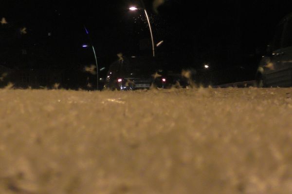 Kelebeklerin ölüm dansı