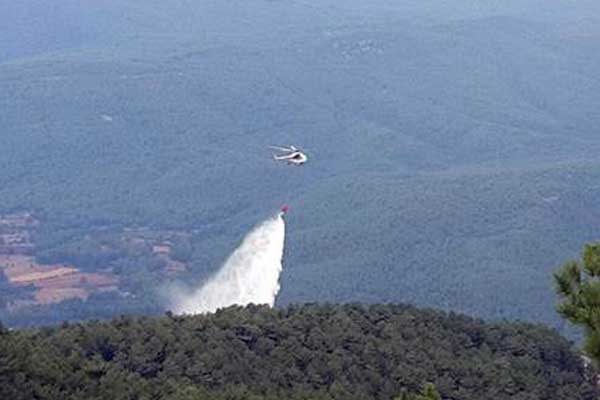 Milas'ta orman yangını