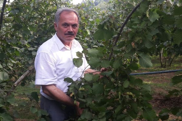 TMO'nun fındık fiyatını açıkladı