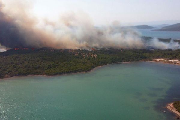 Ayvalık'ta orman yangını çok sayıda yangın söndürme ekibi müdahale ediyor