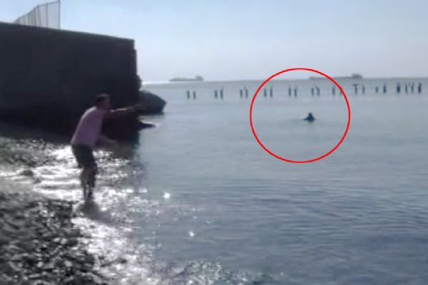 İstanbul'da boğuldu, sanıldı, 3 saat sonra yüzerek geldi