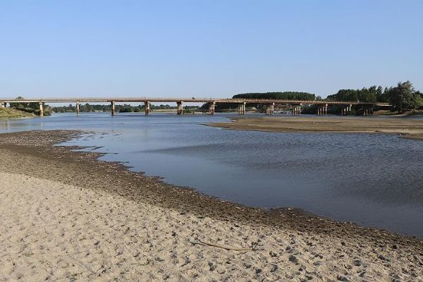 Edirne'de Tunca Nehri'nde su seviyesi dip yaptı