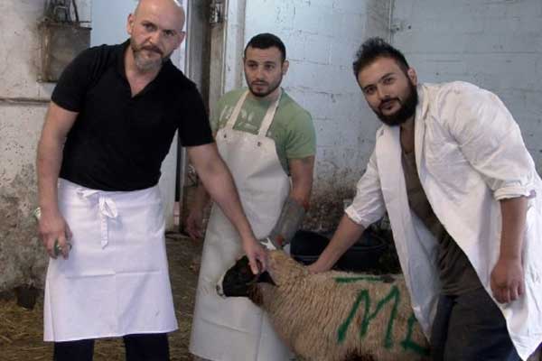 Almanya'da kurbanlıklar satışa hazır