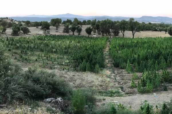 PKK'nın 4 sığınağı imha edildi