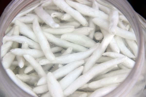 Bu sakızın kilosu 600 TL