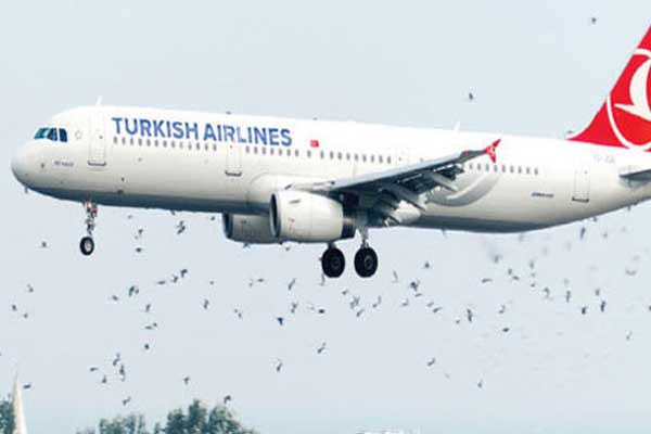 Hava trafiğinde leylek alarmı