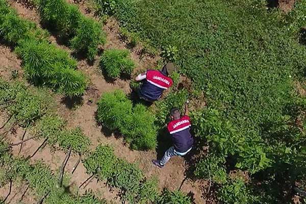 Jandarmadan 'drone'lu uyuşturucu operasyonu