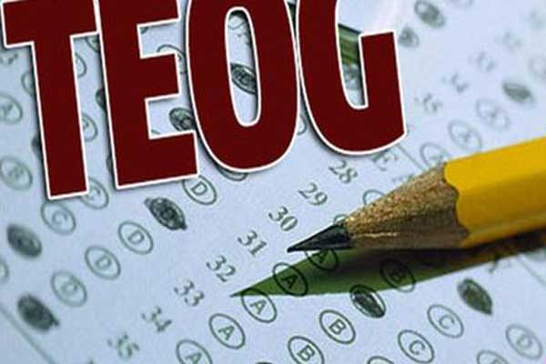 2017 TEOG 1. nakil sonuçları açıklandı