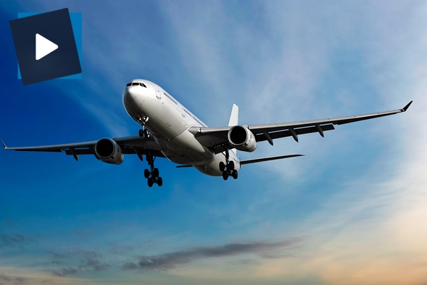 Hava trafiğinde 'leylek' problemi