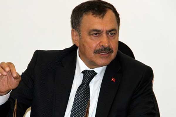 Eroğlu'ndan Ayvalık'taki yangın için açıklama