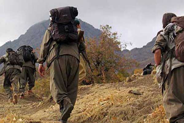 Diyarbakır'da PKK'ya operasyon
