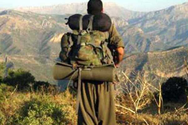 Van'da 3 PKK'lı öldürüldü