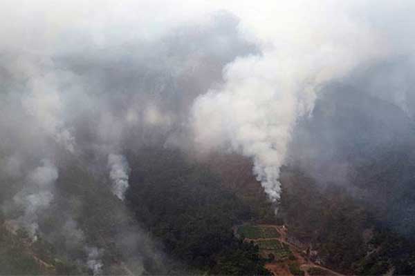 PKK'lılar Amanos'ta 7 hektarı yaktı
