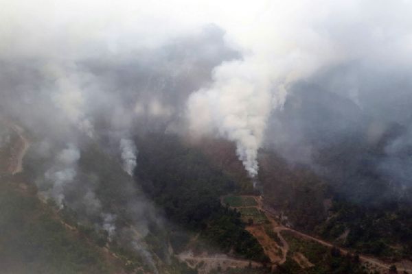 Hatay'da teröristler 30 hektarlık ormana zarar verdi