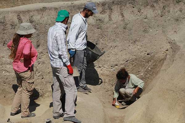 Avrupa tarımının ilk izleri gün yüzüne çıkarılıyor