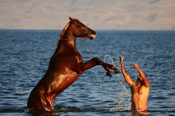 Van Gölü'nde yarışacaklar