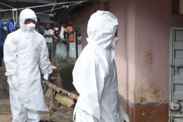 Domuz gribi yayılıyor... bin 94 can aldı